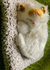 Cat Soft Toy