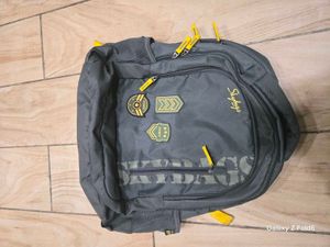 Light Weight Skybags Backpack
