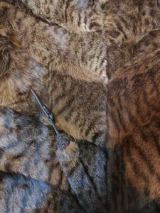 Brown animal print Fur coat