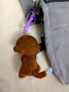 Kipling Crossbody Bag