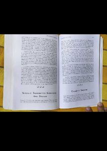 Combo Of The Big Book Essay And Hidden hindu Prt-3