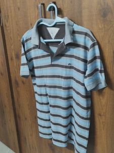 Blue Medium Size Men T-shirt