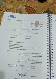 Marrow notes E8 Medicine