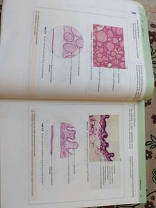 Histology Textbook - J.P.Gunasegaran