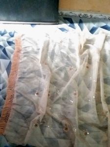 Beautiful Organza Fabric Saree