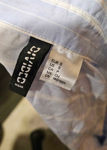 Striped Button-Down Fitted Shirt