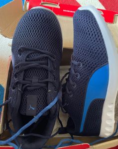 Brand New Puma Men’s Sneakers – UK8 / EUR42 / US9