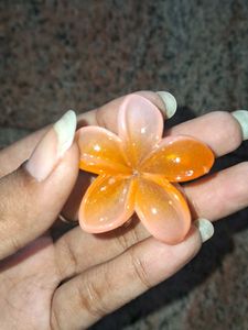 Flower Hair Clips (Set of 3)