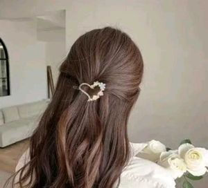 Korean Hair Clips Pack Of 4