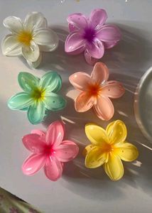 Flower Hair Clips