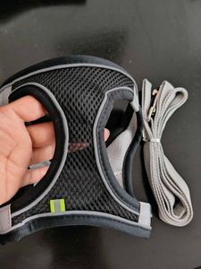 Pet Harness with Leash