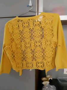 109 F Mustard Shrug With Net