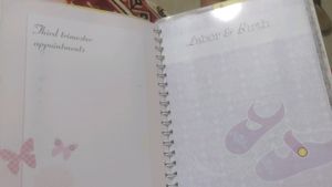 My Pregnancy General