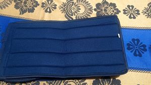 Blue Back Support Belt