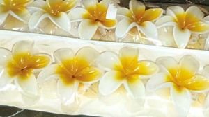 Frangipani Hair Clip (pack of 12)