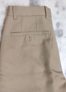Formal And Casual Pant