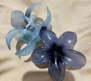 Beautiful Hair Clip