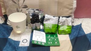 natural Cosmos Flower Grow Kit