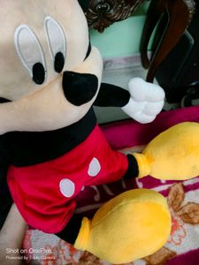 Imported Mickey Mouse 🐭