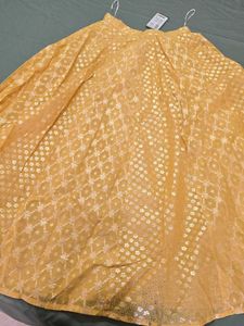 Chanderi Flared Skirt