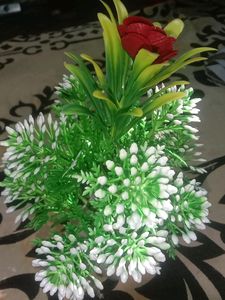 Flower Pots
