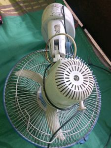 Fan