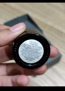 Forest Essentials Lip Balm - Narangi Glaze