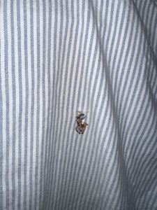 Ralph Lauren Stripped Oxford Shirt