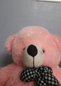 Cute Teddy With Women Purse Freebie