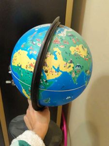 Shifu  Orboot Educational Toy
