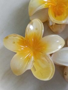 Flower Hair Claw Clips