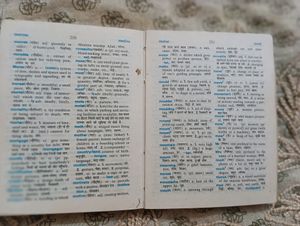 Dictionary English To Hindi