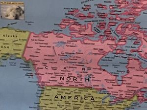 Brand New  World Map Poster