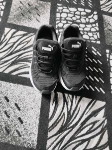 Puma X Ray