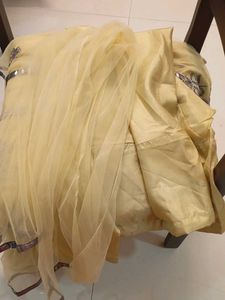 Elegant Ethnic Gown--Sleeves attached