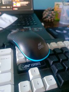 Gaming mouse wired