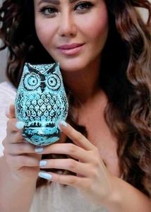 Antique Owl Door Knocker
