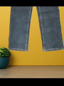 Women Grey Straight Size 26 (N-99)