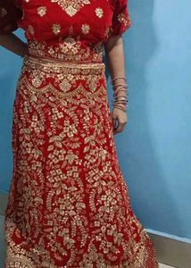 Embroidered Lehenga Choli