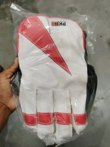 Cricket Keeping Gloves