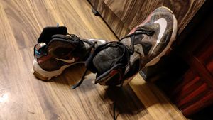 Sneaker At Cheap Rate