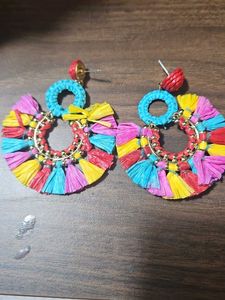 Colorful Tassel Earrings