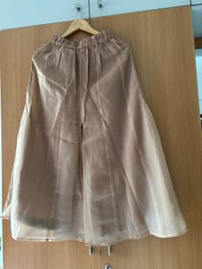 Sequinned kurta with organza plaza and dupatta