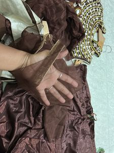 Elegant Ethnic Gown