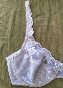 🍂Elegant White Lace Leaf Embroidered Bra🍂