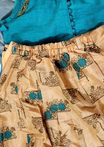 Embroidered Indian Dress