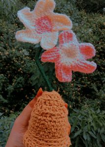 Handmade Crochet Flower Pot