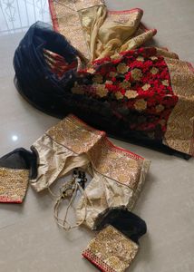 Regal Beige Saree Zardosi and Black Net Accents