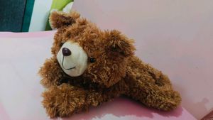 Teddy 🧸