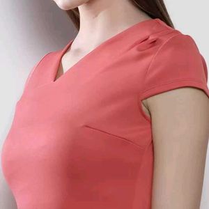 Sexy Bodycon Dorothy Perkins Dress
